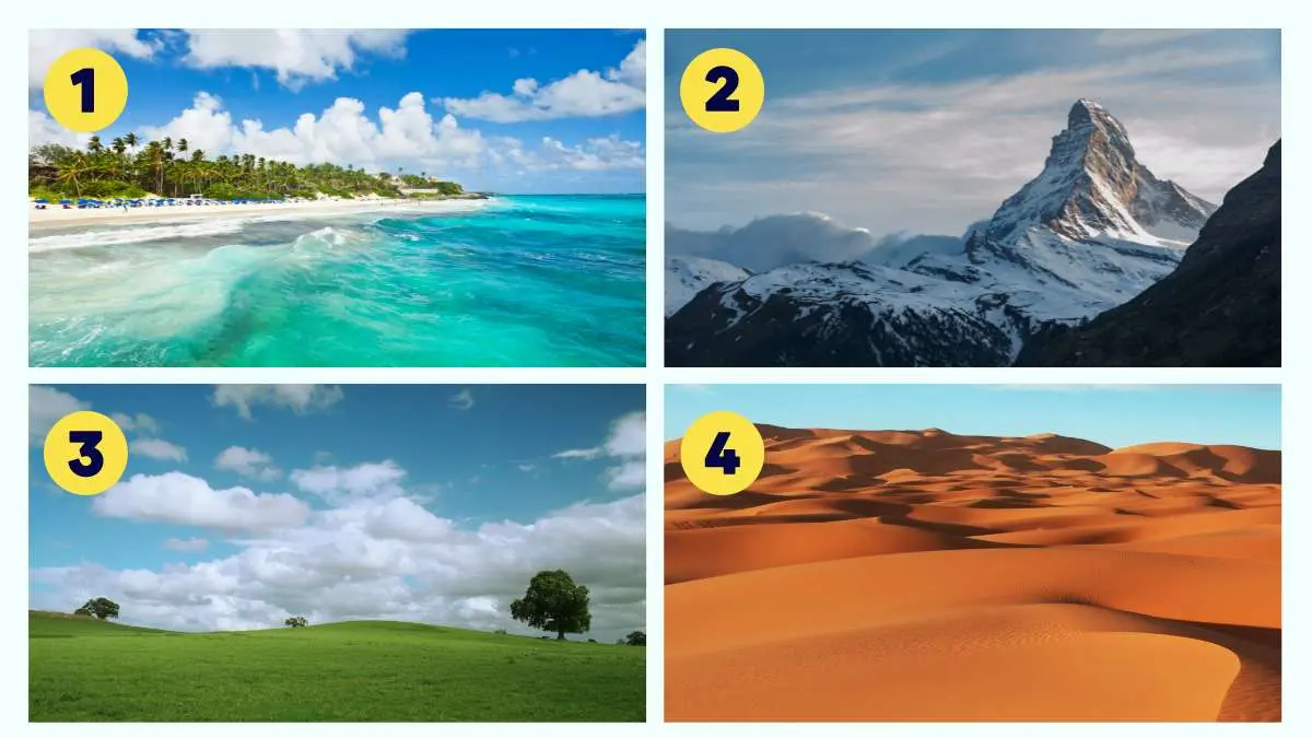 تست شخصیت شناسی | یکی از مناظر لو میده که شما آدم منظم و دقیق یا بی برنامه ای هستین