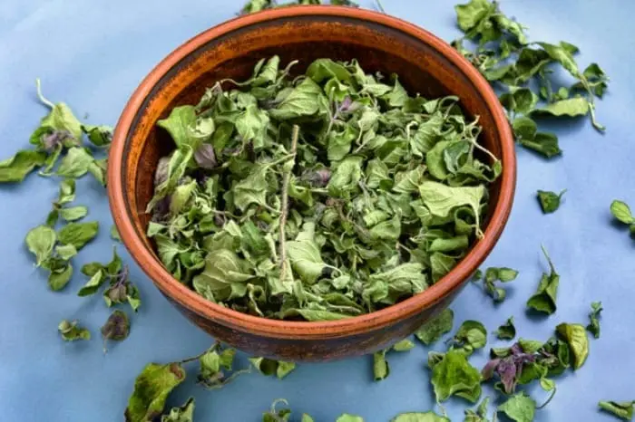  تقویت اعصاب و آرامش روحی و فکری در قدیم فقط با این گیاه بوده است 