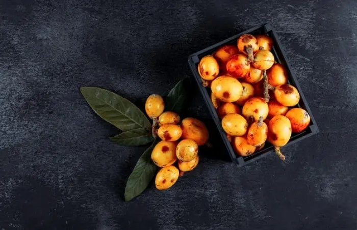 این میوه گیلانی سلامت قلب و مغز شما را تضمین می کند
