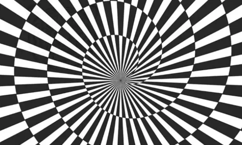 با این چالش میزان سلامت مغز و پشمتون رو بسنجید | زیر 8 ثانیه حیوان مخفی در تصویر رو پیدا کنید