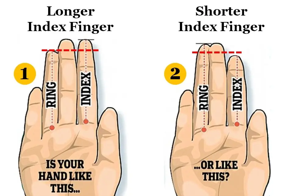 طالع بینی | طالع بینی دقیق ازدواج از روی اندازه انگشت حلقه شما
