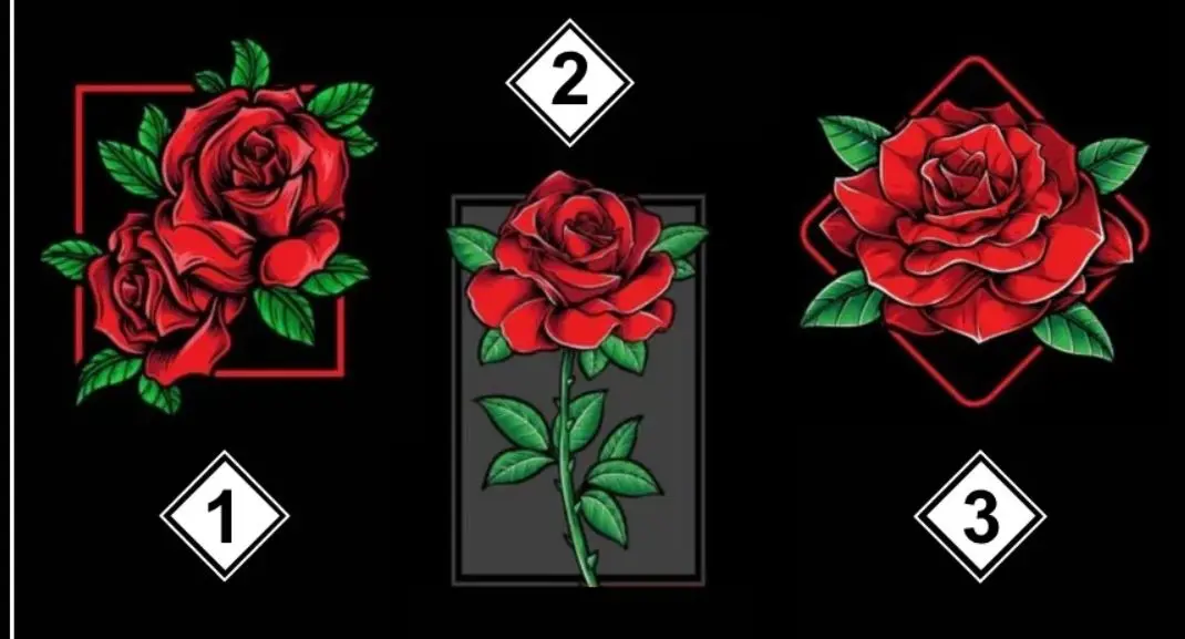 طالع بینی با رز سرنوشت | گل رز سرنوشت را انتخاب کنید و آنچه در پیش است را بخوانید
