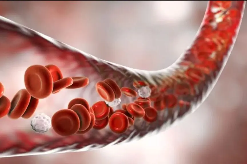 با این روش و ترکیب عسل و آب و این عرق یک پاکسازی عمقی خون  انجام دهید  و خون تر و تمیز تحویل بگیرید