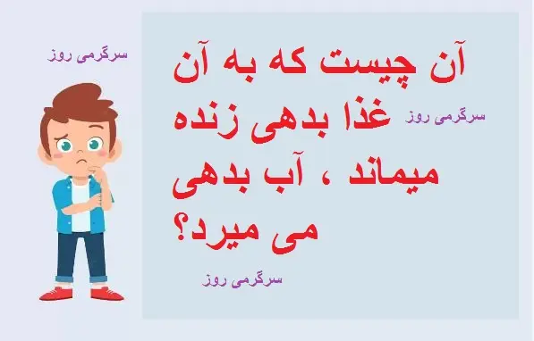 چیستان روز |  آن چیست که به آن غذا بدهی زنده میماند ، آب بدهی می میرد؟