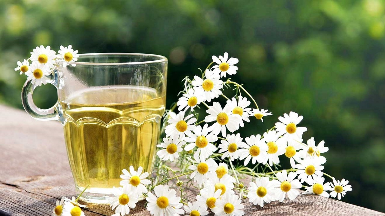 دمنوش معجزه‌آسایی که از سردرد تا عفونت را درمان می‌کند | گیاه دارویی قدیمی با خواص اثبات‌شده برای بدن