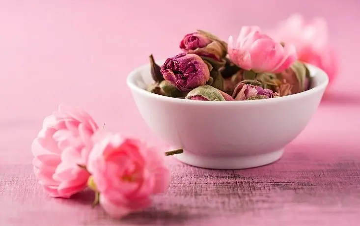 درمان آلزایمر با عصاره این گل | مغر مثل ساعت میخوای بخون