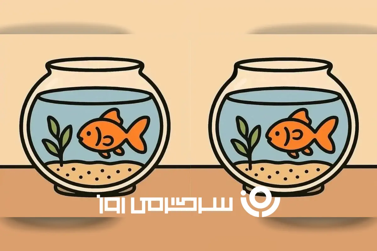 بازی فکری: اساتید و نوابغ بدوید که فقط ۱۷ ثانیه برای پیدا کردن ۳ تفاوت وقت دارید!