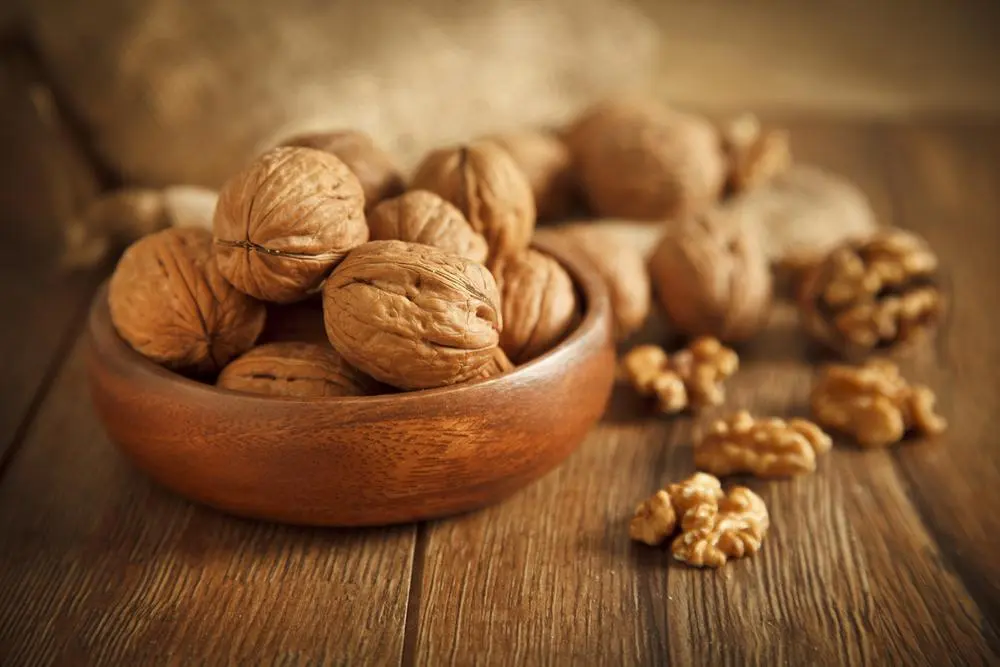 این مغز خوشمزه بمب چربی‌های مفید/ راهی ساده برای سلامت متابولیک و قلب و کاهش کلسترول