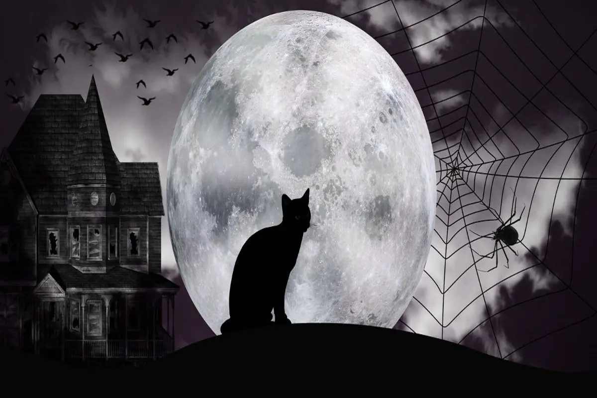 تست شخصیت شناسی | می‌خوای بدونی چقدر شجاعی؟ پس این آزمون و انجام بده