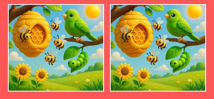 بازی فکری : فقط نابغه ها تو 5 ثانیه 3 تفاوت تصویر پرنده رنگی را پیدا می کنند!