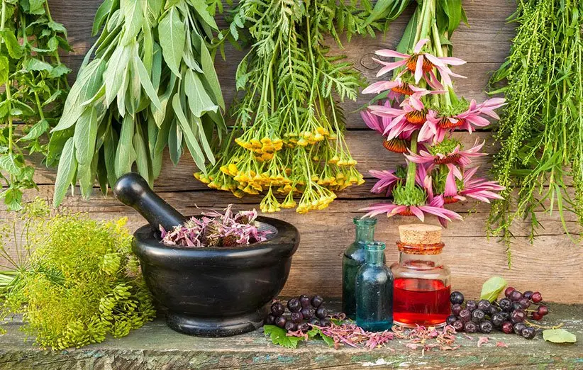 5 گیاه ارزان قیمت اما با خواص گران بها برای تنظیم هورمون های زنانه