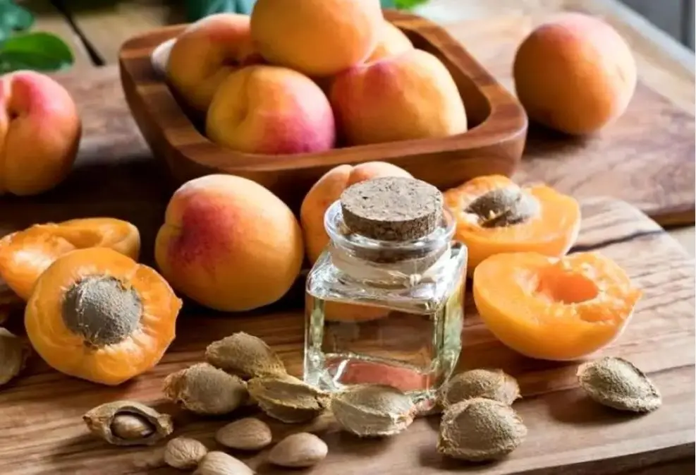 رازهای پنهان هسته زردآلو  | هسته زردآلو بخوریم یا نه!