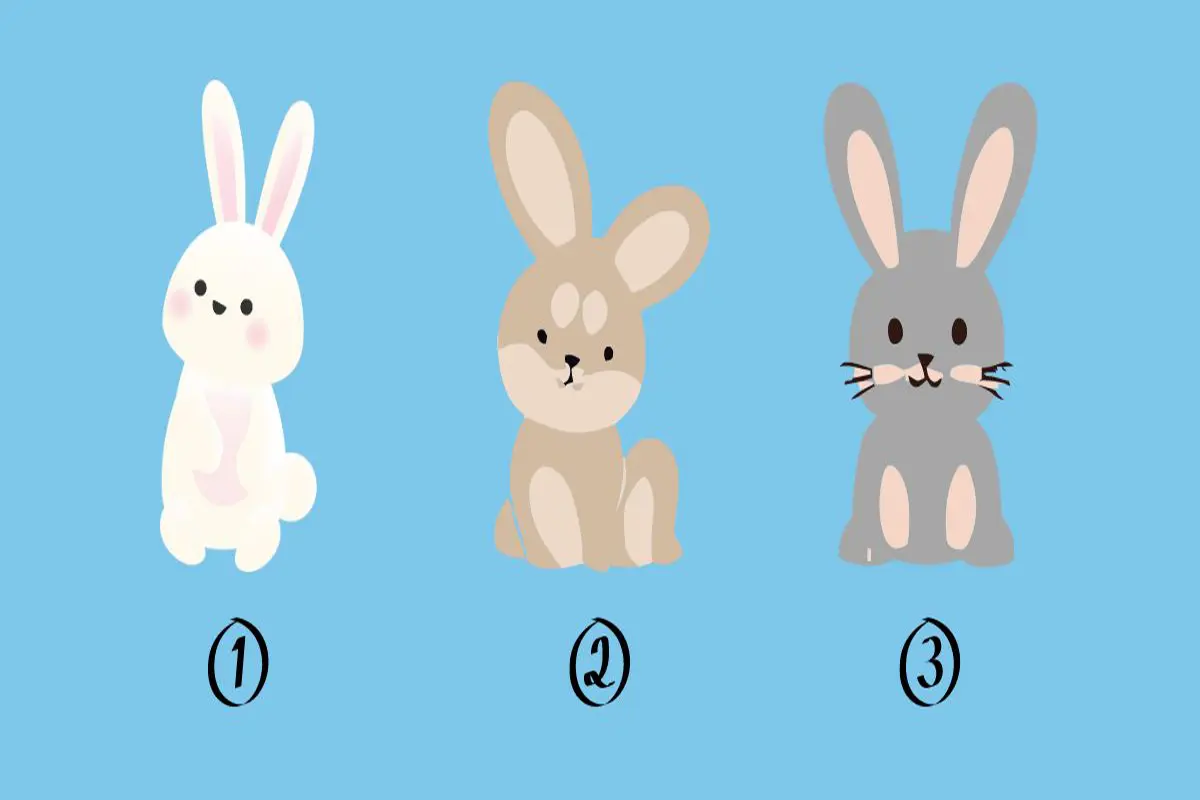 تست شخصیت شناسی  | یکی از خرگوشارو انتخاب کن تا بگم شریک عاطفیت چطوری خوشحال میشه