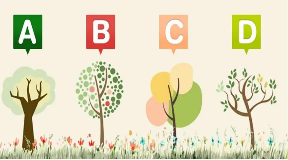 تست شخصیت شناسی | یک درخت انتخاب کن تا بگم نتیجه کاراتو چطوری میگیری