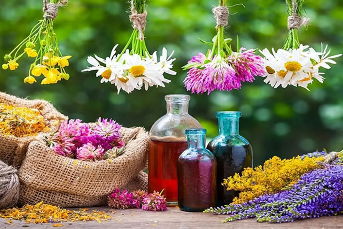 با این گیاهان 20 سال جوان شوید از شر چین و چروک پوست راحت شوید 