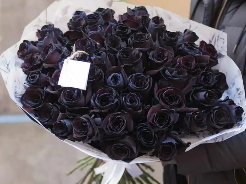 ترفند کاشت گل رز در کمترین جای خانه | با این ترفند همیشه تو خونت گل رز زیبا داری