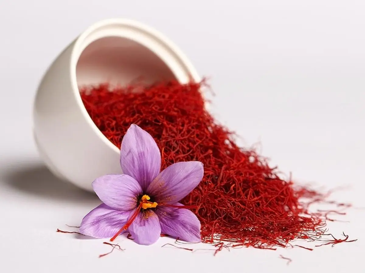  این گیاه باعث تحریک اعصاب شده و برای درمان افسردگی مفید است 