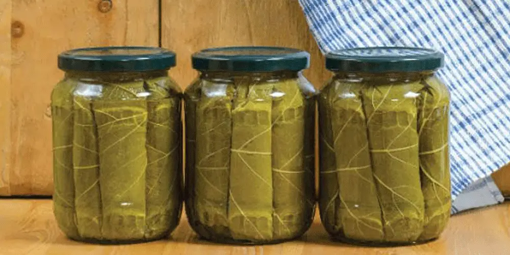 طرز تهیه ترشی برگ مو