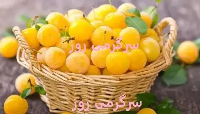 این میوه تابستانی از پوکی استخوان جلوگیری می‌کند