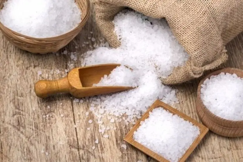 افزودن نمک به شامپو؛ راز طبیعی موهای پرپشت و بدون شوره