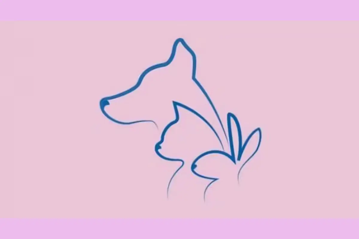 روانشناسی شخصیت | آدم منفی نگر، متعهد و وفادار و یا باهوشی هستی؟ بگو اول چی دیدی