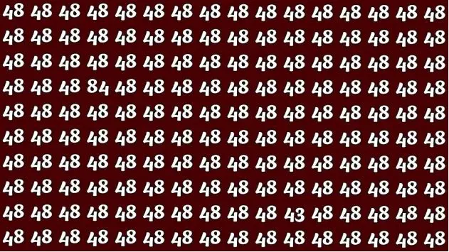 بازی فکری: در عرض ۷ ثانیه، عدد ۸۴ و ۴۳ را از بین ۴۸ ها پیدا کنید