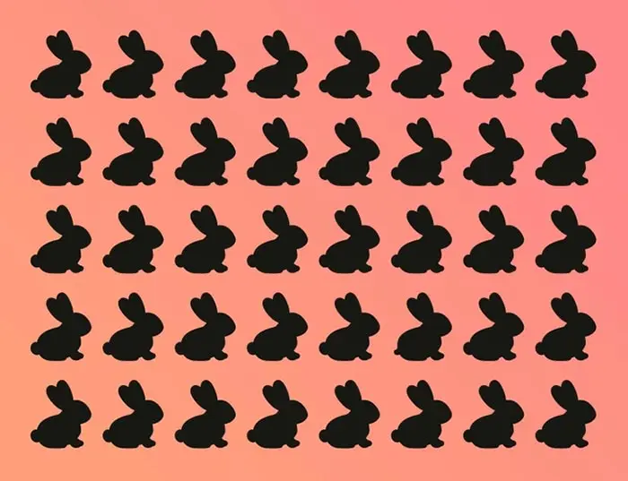 بازی فکری : خرگوش متفاوت کجاست؟ اگر تیزبین هستید آن را در 3 ثانیه پیدا کنید!