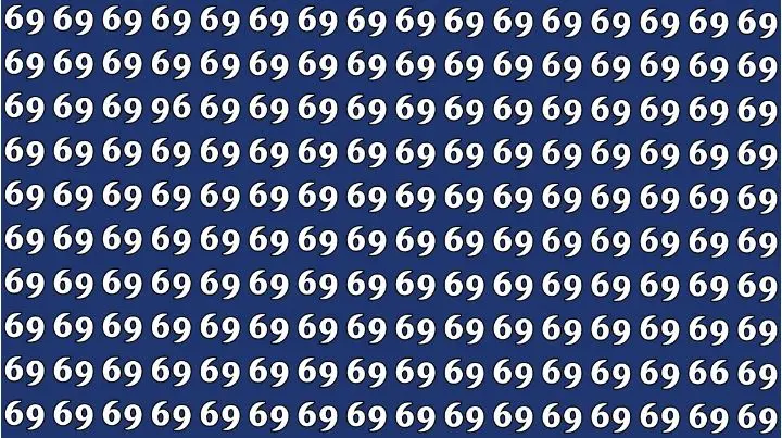 خطای دید : با پیدا کردن عدد ۹۶ و ۶۶ در بین عددهای ۶۹ در ۶ ثانیه مغزتان را جوان نگه دارید!