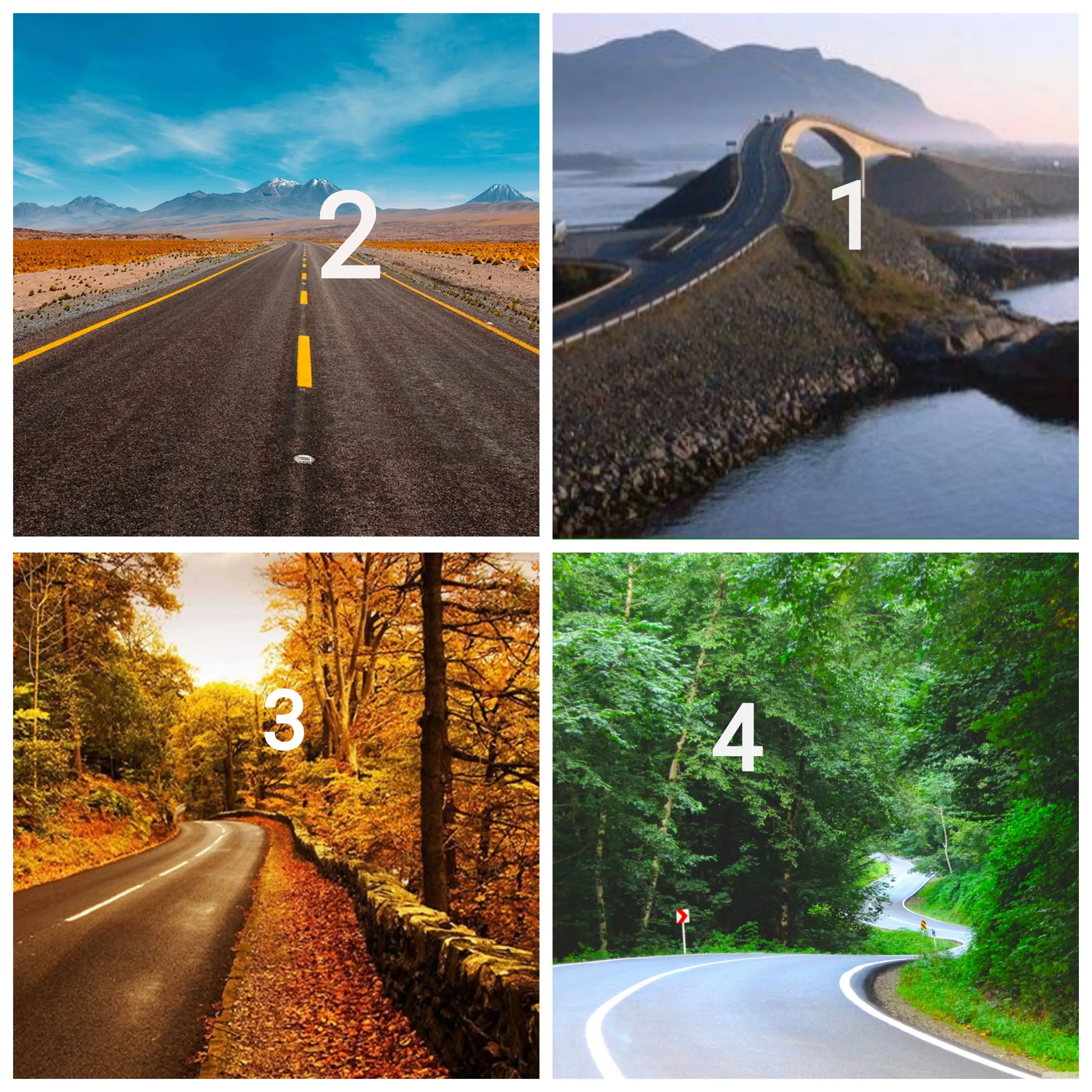 تست شخصیت شناسی | متعهدی یا خیانت کار؟ جاده مورد علاقت و انتخاب کن تا بدونی!