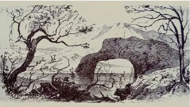 بازی فکری: اگر بتوانید تمام حیوانات این عکس را در ۲۵ ثانیه پیدا کنید، چشمان عقابی دارید
