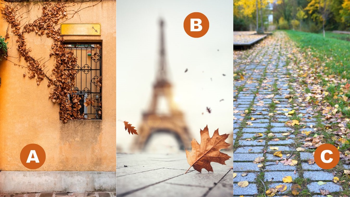 تست شخصیت شناسی: یک تصویر انتخاب کنید و چاره این روزهای زندگیتون رو پیدا کنید !