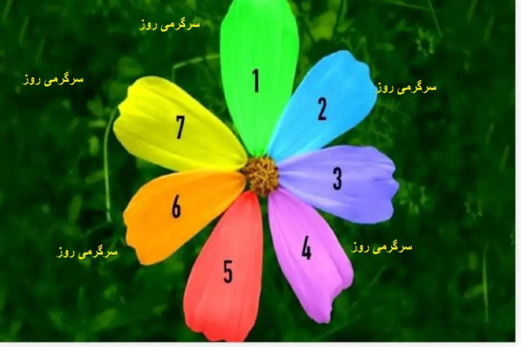 یک گلبرگ را انتخاب کنید و بفهمید که بزرگترین آرزوی شما چه زمانی محقق می شود