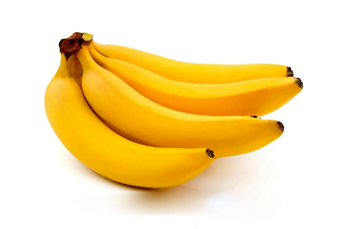 فواید موز برای بهبود استخوان‌ها و کلیه | این میوه سرشار از پتاسیم، ویتامین‌های A و C و انواع ویتامین B و آهن
