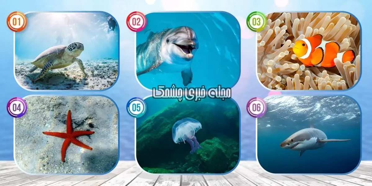 تست شخصیت شناسی | چقدر آدم متفکر و عاقلی هستی؟ یک تصویر انتخاب کن