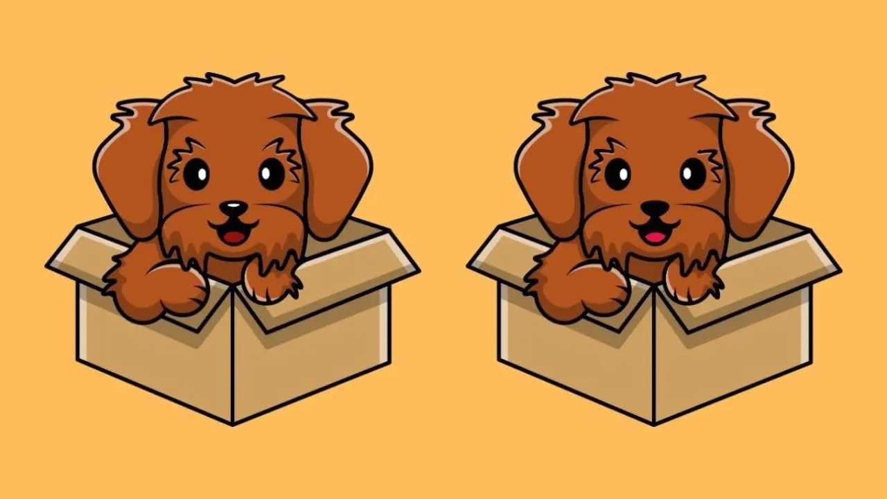 بازی فکری: فقط نابغه‌ها هر ۳ تفاوت را در ۲۰ ثانیه پیدا می‌کنند!