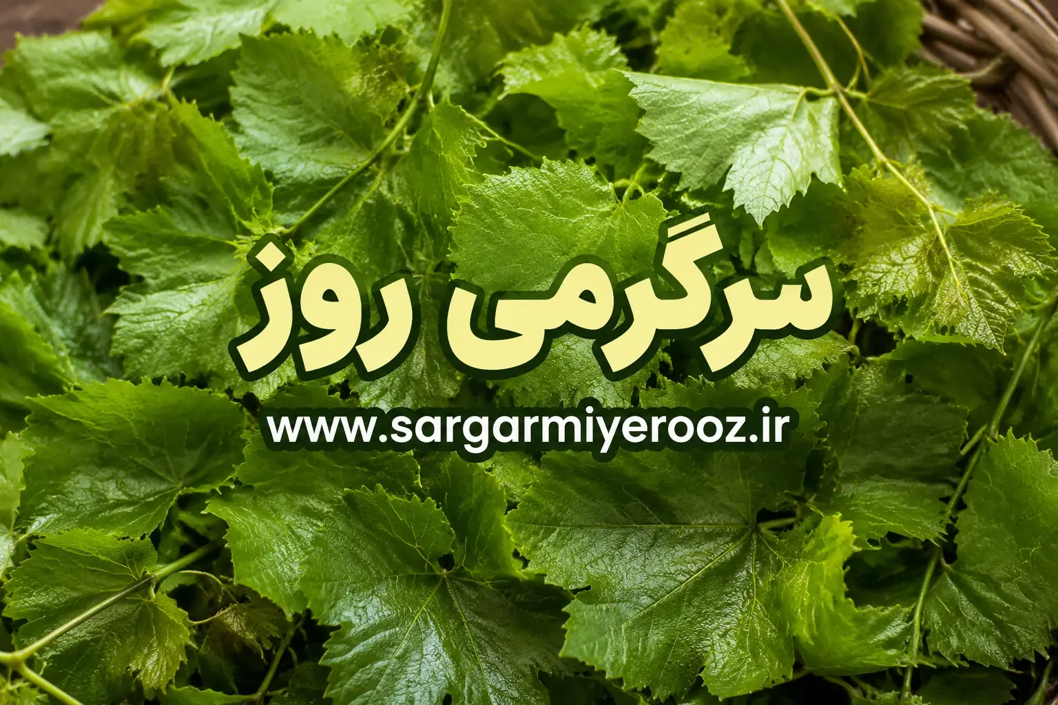 راز ماندگاری یک‌ساله برگ مو بالاخره فاش شد | ترفند خانگی که برگ مو را مثل روز اول تازه نگه می‌دارد