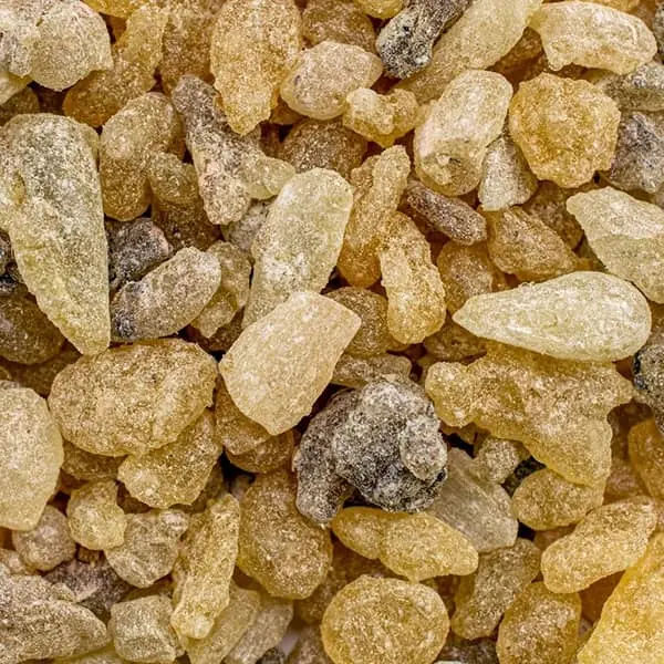 میخوای تو همین مدت کم تا عید وزن کم کنی؟ | صبحانه ها این صمغ رو بجو