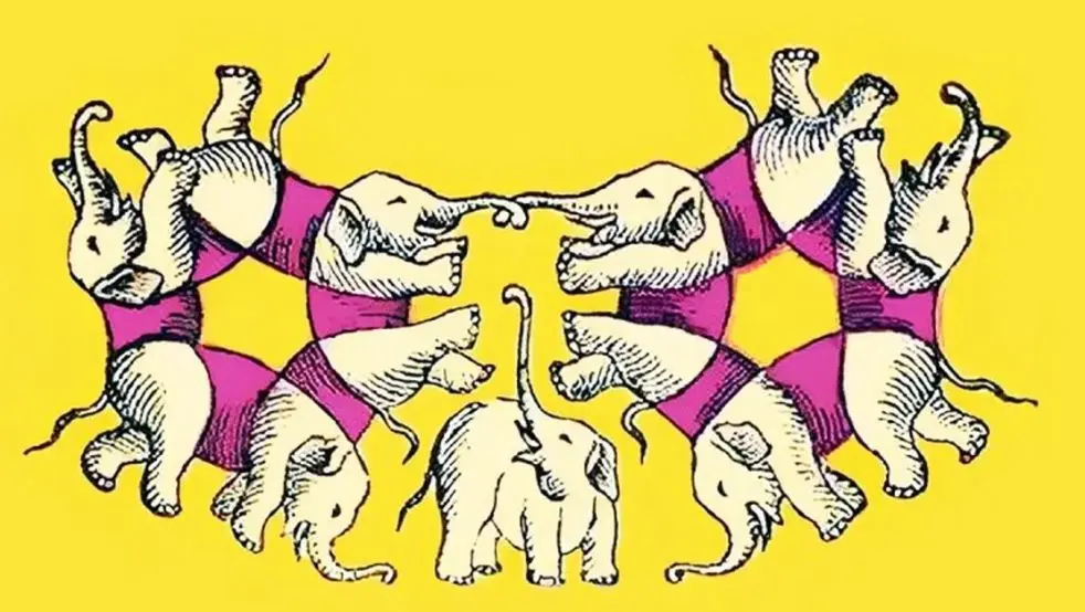 بازی فکری: فقط یک ذهن آروم میتونه تعداد فیل هارو درست حدس بزنه 