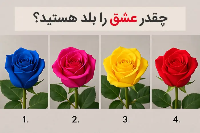 تست شخصیت شناسی: یک رنگ گل رز را انتخاب کنید تا بفهمید چقدر عشق را بلد هستید!