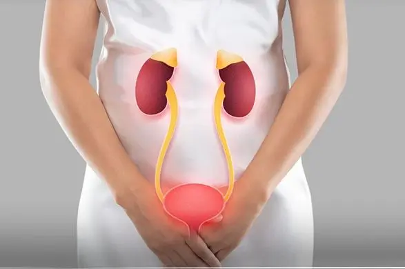 درمان عفونت ادراری با طب سنتی؛ ۱۱ دمنوش گیاهی موثر و روش مصرف هرکدام