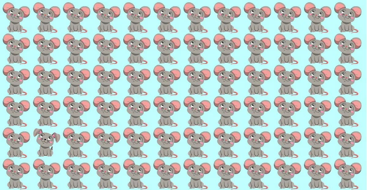 تست هوش | سگ بازیگوش رو زیر 5 ثانیه بین موش کوچولوها پیدا کنید