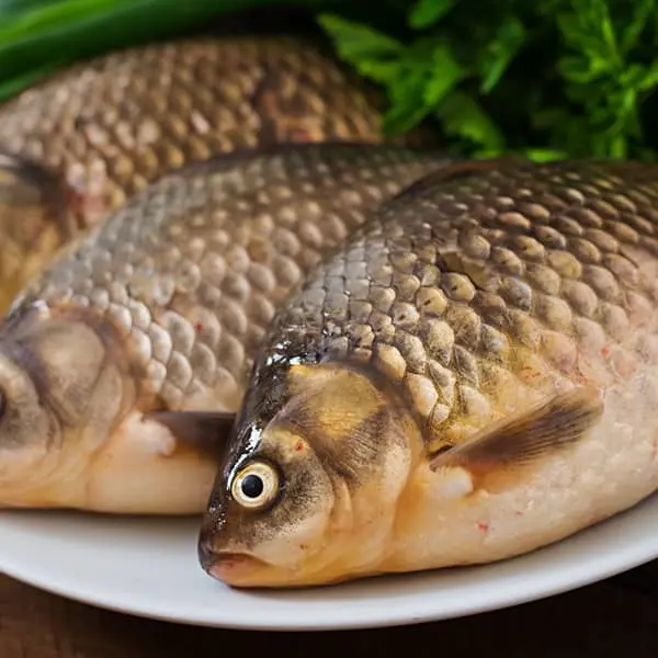  این غذا سرشار از ویتامین D ، امگا ۳ و ید است 