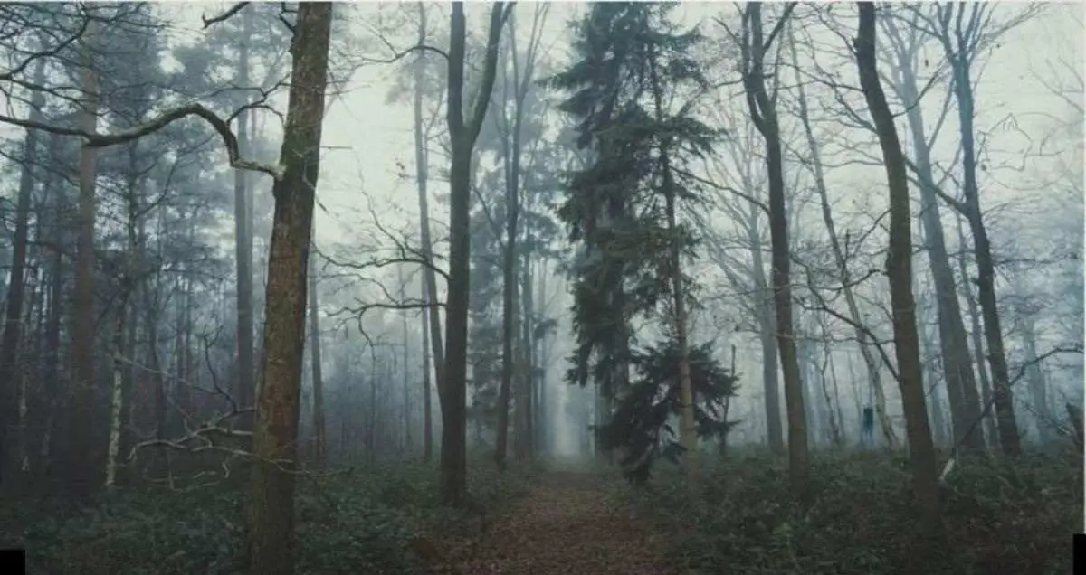 بازی فکری : چشم عقابی ها بیان جلو و روباه رو تو 10 ثانیه پیدا کنن!