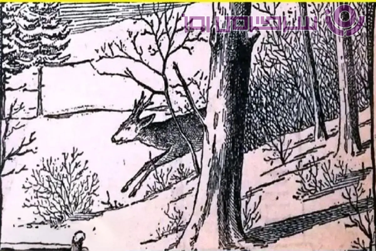 بازی فکری:دوستای پوآرو فقط ۱۰ ثانیه وقت دارید که شکارچی و پیدا کنید!