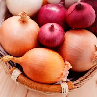 با پیاز به جنگ پیری بروید | پوستی صاف و بدون لک و بدنی سالم با مصرف پیاز