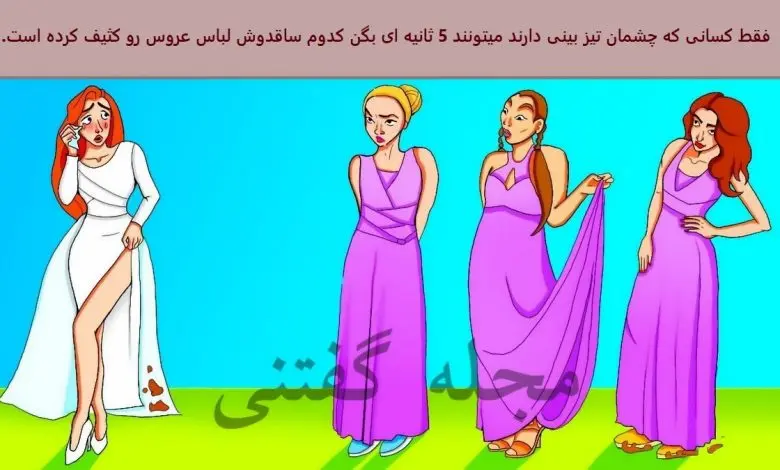 تست هوش | میتونی زیر 6 ثانیه ساقدوش خبیثی که لباس عروس خانومو خراب کرده رو پیدا کنی؟