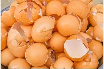  ترفند جادویی باز کردن سینک با تخم مرغ که تا حالا نمیدونستیم | عمرا اگه میدونستی پوست تخم مرغ چه کاربردای خفنی داره