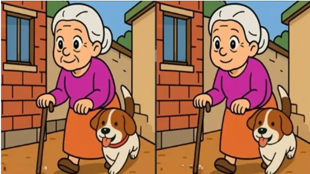 بازی فکری : اگه خیلی با استعداد و نخبه ای 3 تفاوت و تو 10 ثانیه پیدا کن!