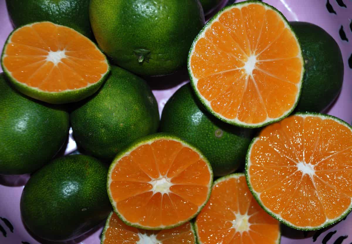  ترفندهای خانگی نگهداری نارنگی تازه تا مدت زیاد در خانه