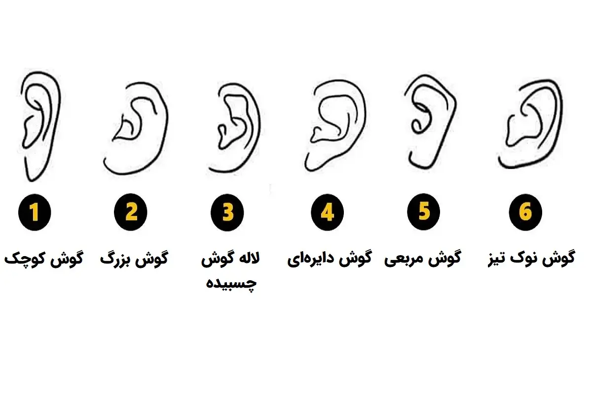 تست شخصیت‌شناسی | فرم گوش شما، نیمه پنهان‌تان را لو می‌دهد!